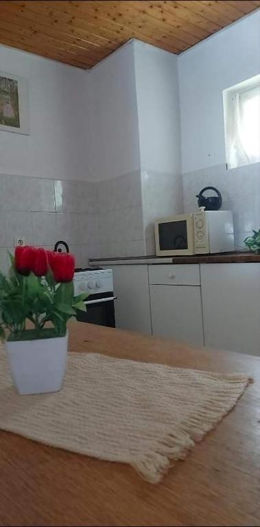 Badacsony Hostel Бадачоньтомай Экстерьер фото